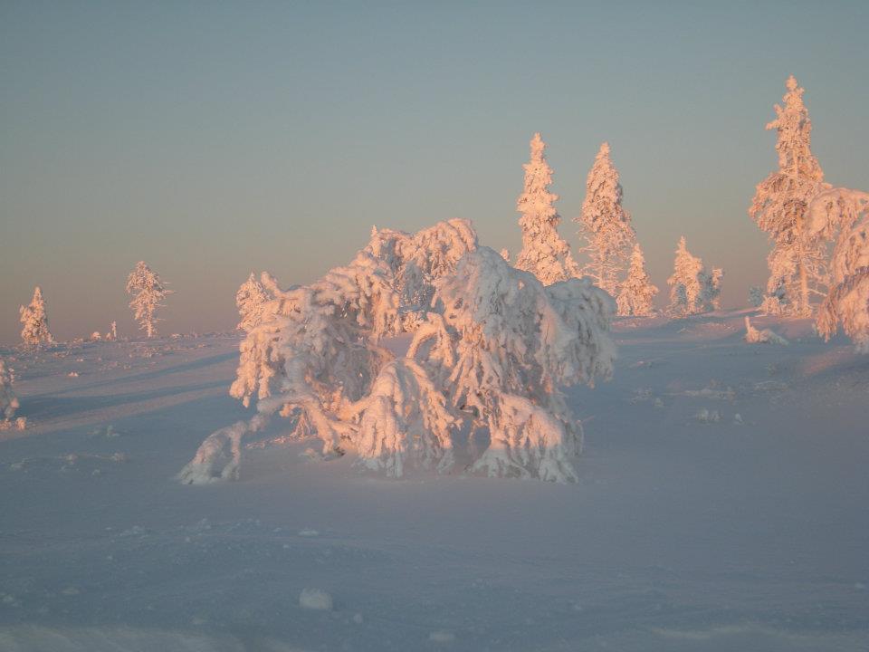 Auroracabin Chalets Saariselkä Exterior foto