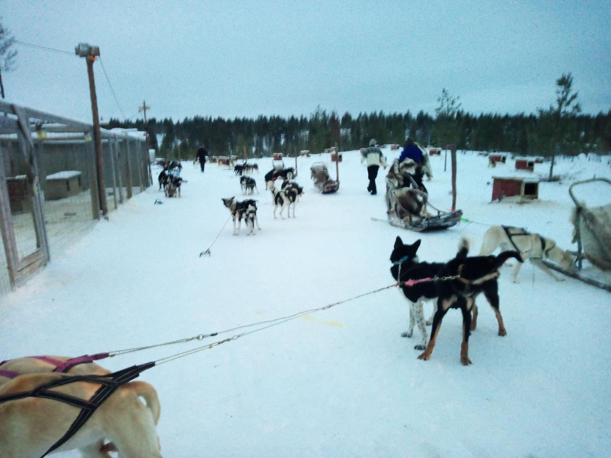 Auroracabin Chalets Saariselkä Exterior foto