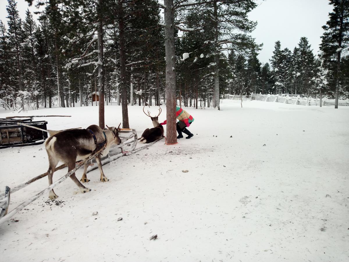Auroracabin Chalets Saariselkä Exterior foto